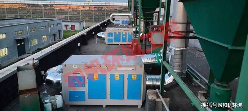 解读行业发展动态——聚焦东泽食品